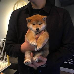 民工小伙20厘米粗大硬
