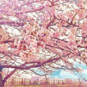 民工小伙20厘米粗大硬
